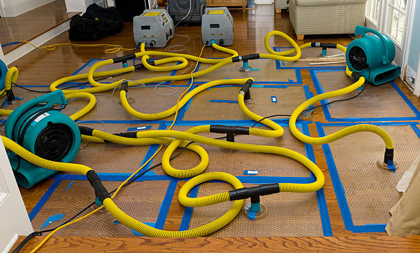 Professional Structural Drying And Dehumidification technician working in Castalia, NC